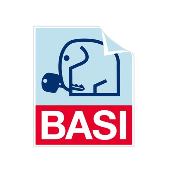 BASI BASI